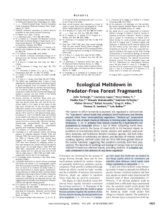 Ecological Meltdown in Predator-Free Forest Fragments