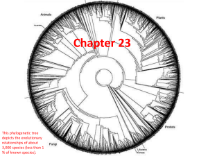 Chapter 23: Phylogenetic Trees & Taxonomy