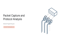 Packet Capture and Protocol Analysis Lab Manual