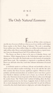 The Only Natural Economy: Reinventing the Bazaar