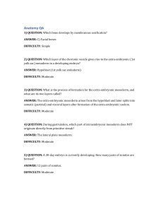 Anatomy QA: Embryology & Skeletal Development Quiz