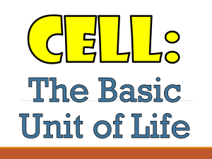 Cell: The Basic Unit of Life - Cell Theory & Types