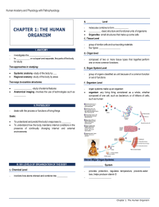Human Anatomy & Physiology Chapter 1: The Human Organism