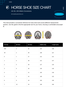 Horse Shoe Size Chart: US, EU, UK & Metric Conversions