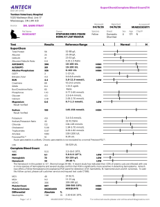 Veterinary Lab Report: Margaret's Blood Tests (SuperChem, CBC, T4)