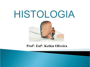 Histologia: Estudo dos Tecidos