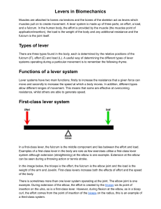 Levers in Biomechanics: Types and Functions