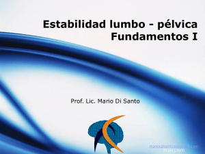 Estabilidad lumbo-p&eacute;lvica: Fundamentos I