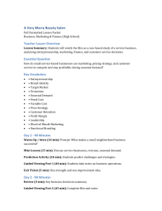 High School Business Lesson Packet: Beauty Salon Case Study