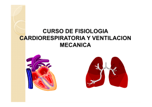 Curso de Fisiolog&iacute;a Cardiorrespiratoria y Ventilaci&oacute;n Mec&aacute;nica