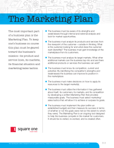 The Marketing Plan: Guide to Business Strategy