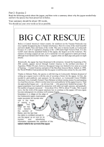 Jaguar Conservation in Belize: Exam Exercise