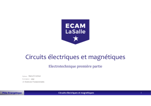 Circuits &eacute;lectriques et magn&eacute;tiques - Module d'&eacute;lectrotechnique