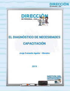 diagnosticos de necesidades de capacitacion