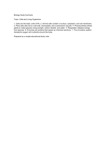 Biology Study Summary: Cells and Living Organisms