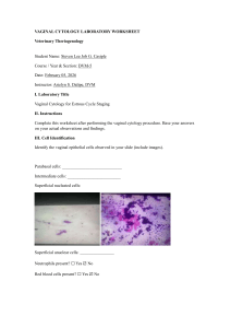 Vaginal Cytology Lab Worksheet for Estrous Cycle Staging