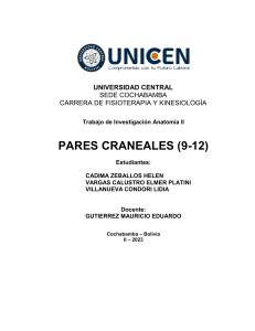 Pares Craneales 9-12: Investigaci&oacute;n Anatom&iacute;a II