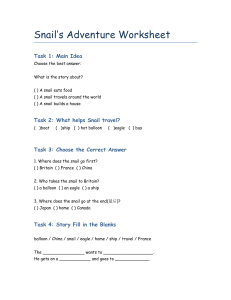 Snail&rsquo;s Adventure Worksheet: Reading Comprehension