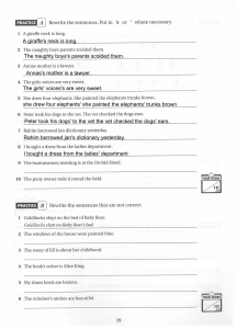 Apostrophe Practice Worksheet: Possessive Nouns