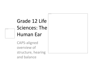 Grade 12 Life Sciences: The Human Ear Overview