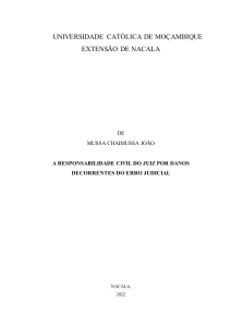 A Responsabilidade Civil do Juiz por Danos Decorrentes do Erro Judicial