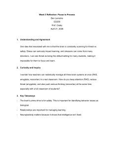 Week 3 Reflection: Brain, Stress, and Learning