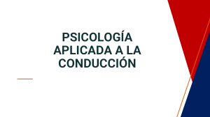 Psicolog&iacute;a Aplicada a la Conducci&oacute;n: Principios y Factores