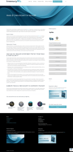 Fraud & Cyber Security in Corporate Treasury | treasuryXL