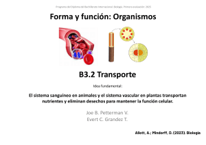Transporte en Biolog&iacute;a IB: Sistema Sangu&iacute;neo y Vascular