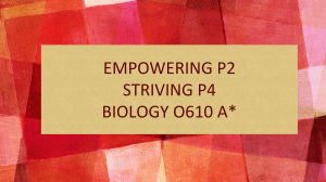 IGCSE Biology 0610 Exam Prep: Papers 2 & 4 Study Guide