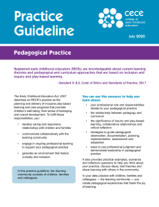 Practice Guideline Pedagogical Practice (2)