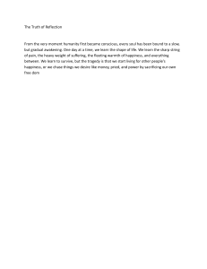 The Truth of Reflection: A Philosophical Essay