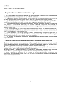 Atividade de Comportamento Organizacional: Verdadeiro/Falso e Conceitos de Equipe