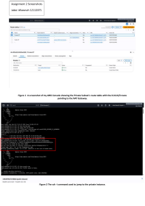 AWS Assignment 2 Screenshots: Private Subnet & NAT Gateway