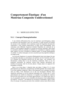 Comportement &Eacute;lastique des Composites Unidirectionnels