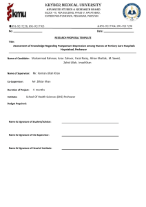 Research Proposal: Postpartum Depression Knowledge Among Nurses