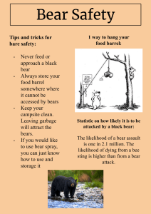 Bear Safety Tips: How to Stay Safe Around Black Bears