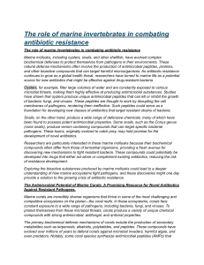 Marine Invertebrates & Antibiotic Resistance Research
