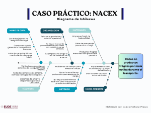 Caso Pr&aacute;ctico NACEX: Diagrama de Ishikawa para Da&ntilde;os en Carga Fr&aacute;gil