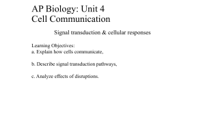 AP Biology Unit 4: Cell Communication