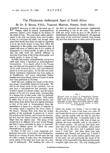 Pleistocene Anthropoid Apes of South Africa: Fossil Discoveries