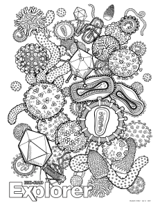 Bio-Rad Explorer Microbiology Coloring Page