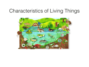 Characteristics of Living Things: 8 Key Traits of Life