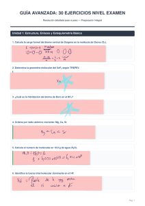 Gu&iacute;a Avanzada: 30 Ejercicios Nivel Examen
