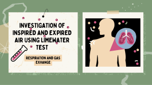 Investigation of Inspired and Expired Air Using Limewater Test