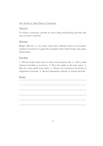 Lab Activity 2: Heat Flow by Convection