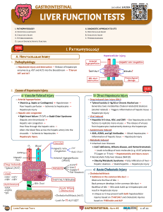 Liver Function Tests: Pathophysiology & Diagnostic Guide
