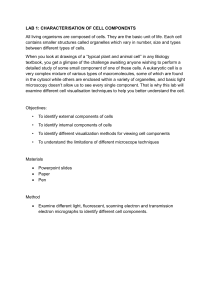 Lab 1: Characterisation of Cell Components