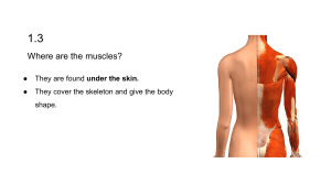 Biology for Kids: Muscles, Skeletons, Diseases