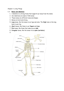 Chapter 1: Living Things - Bones and Skeletons